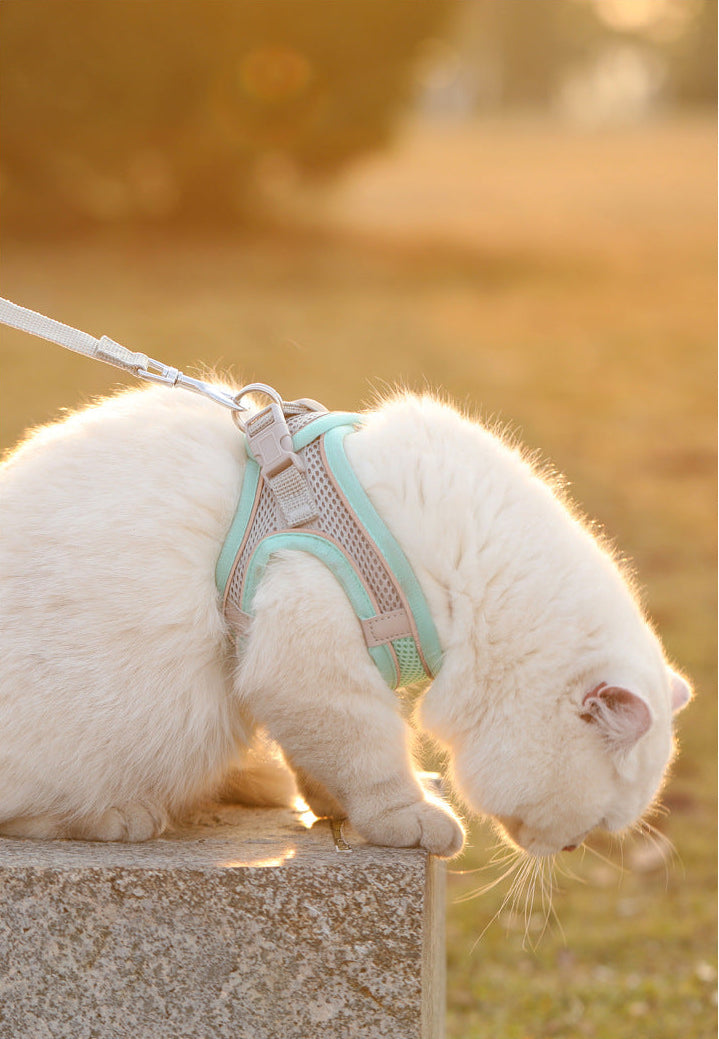 Komfortowy, regulowany zestaw uprzęży dla zwierząt