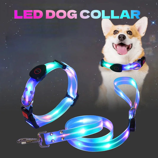 LED Collar and Leash