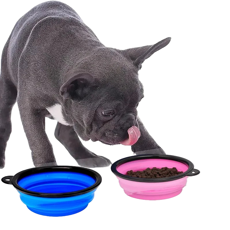 Składana silikonowa miska podróżna dla zwierząt