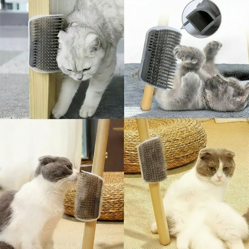 Szczotka i drapak do kątów dla kota