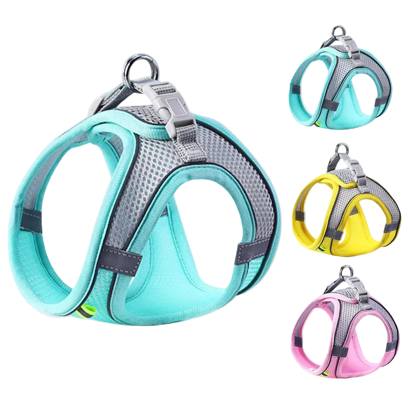 Komfortowy, regulowany zestaw uprzęży dla zwierząt