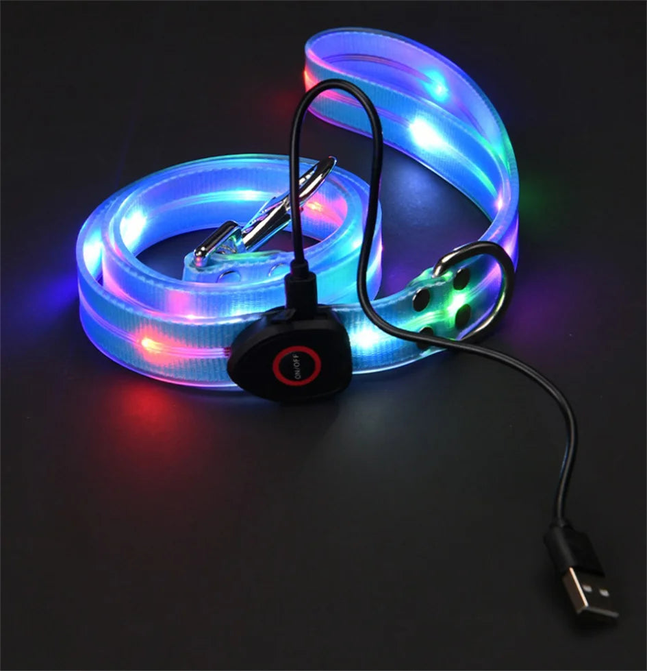 LED Collar and Leash