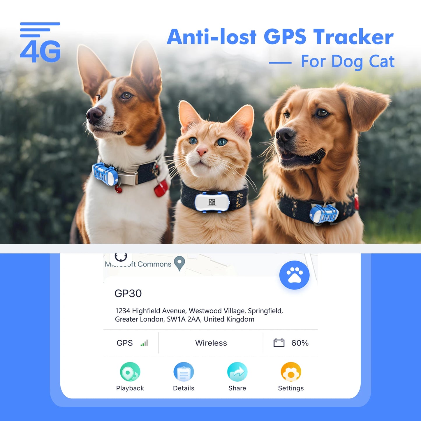 ‌4G GPS Tracker