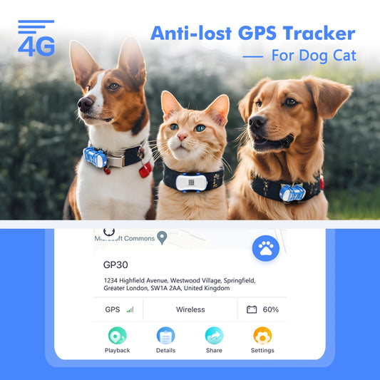 ‌4G GPS Tracker