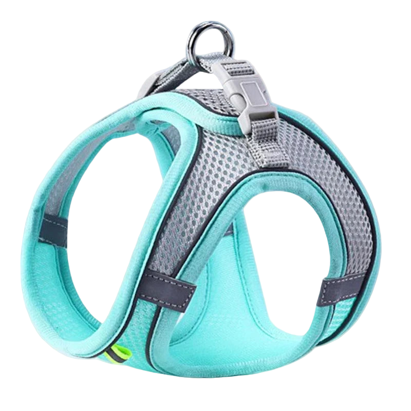 Komfortowy, regulowany zestaw uprzęży dla zwierząt