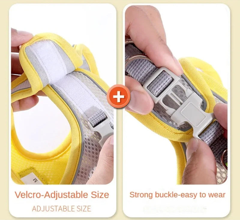 Komfortowy, regulowany zestaw uprzęży dla zwierząt