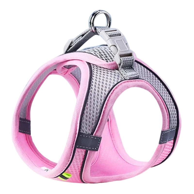 Komfortowy, regulowany zestaw uprzęży dla zwierząt