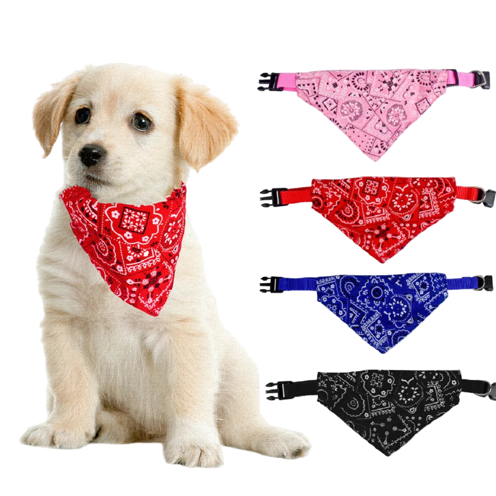 Urocza bandana dla zwierząt