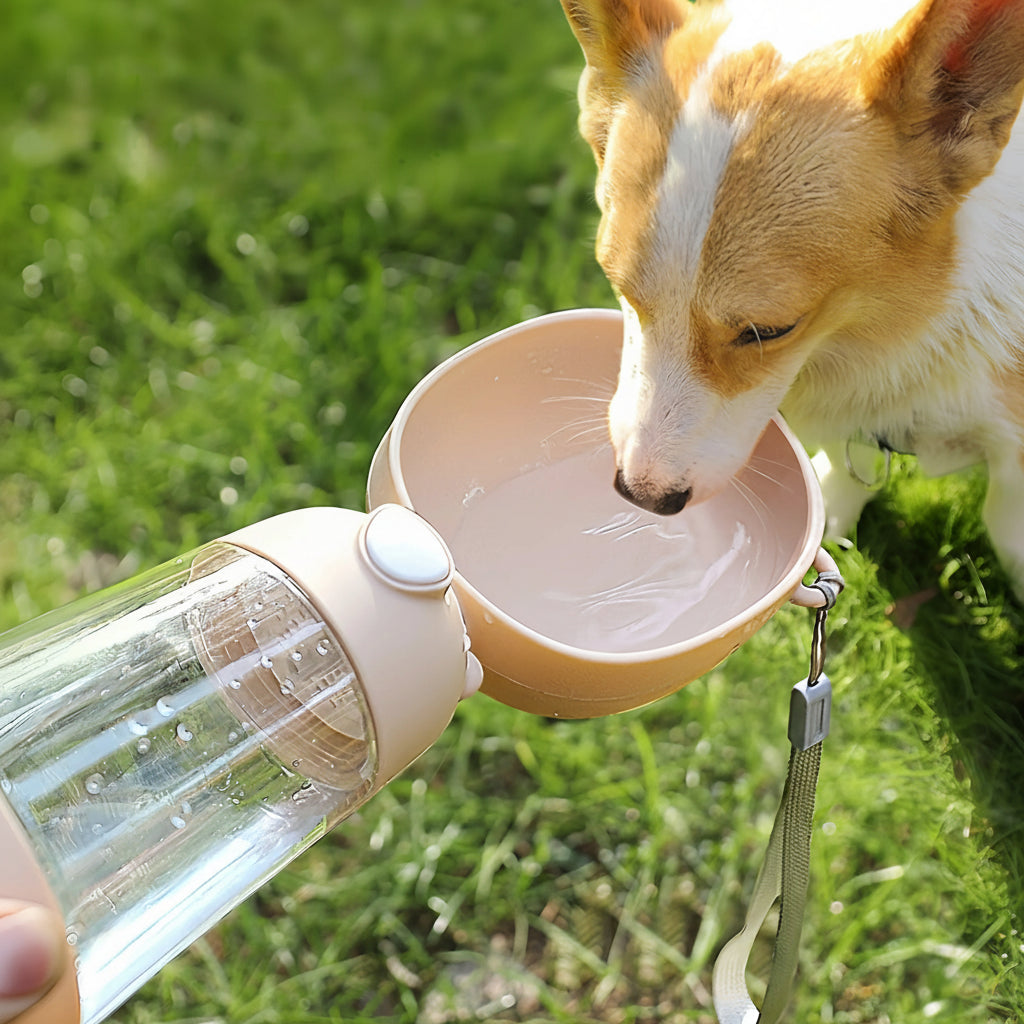 2w1 przenośny karmnik i butelka z wodą dla zwierząt