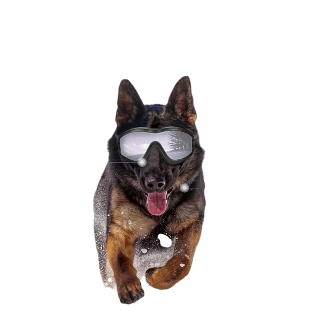 Okulary dla psa z regulacją