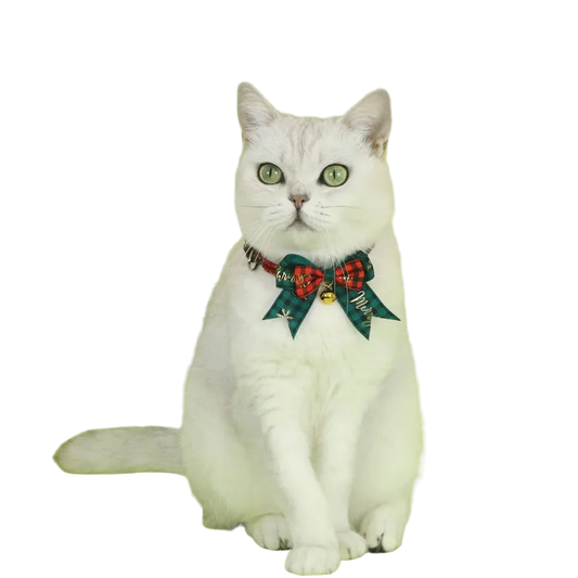 Christmas Bow Tie Collar