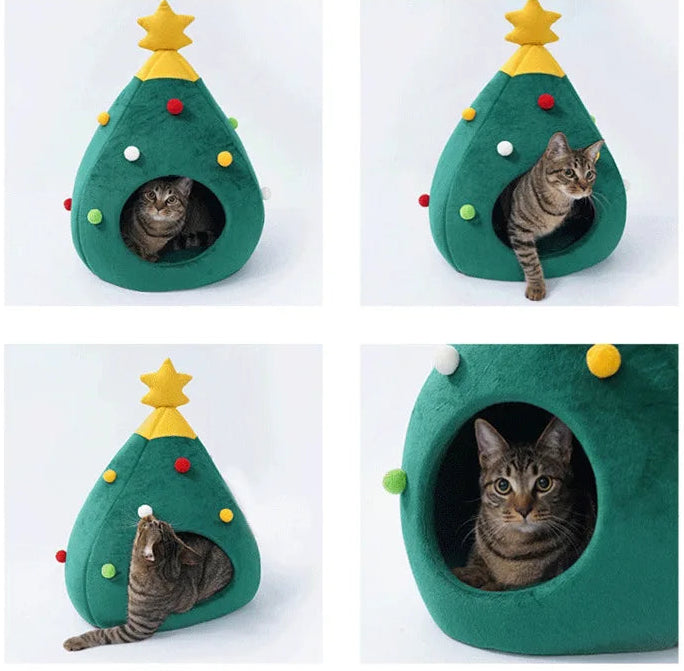 Ciepłe gniazdo świąteczne