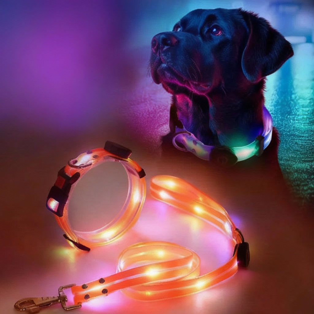 LED Collar and Leash