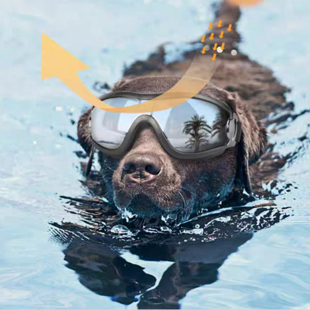 Okulary dla psa z regulacją