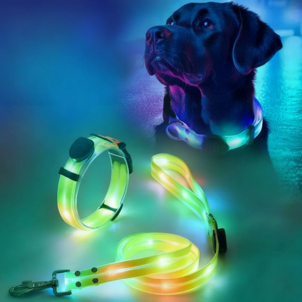 LED Collar and Leash