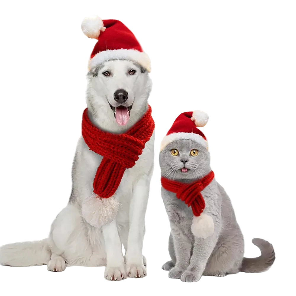 Czapka i szalik świąteczny