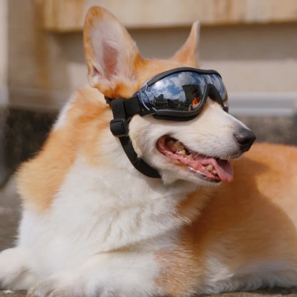Okulary dla psa z regulacją