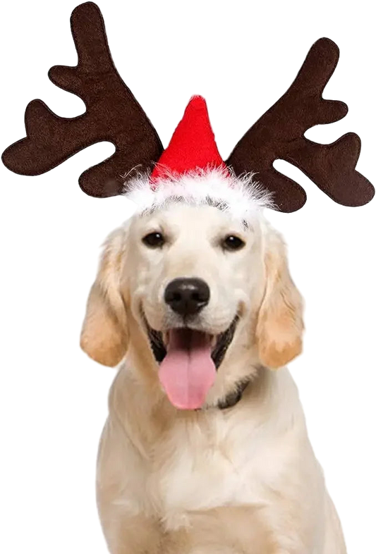 Nakrycia głowy na Boże Narodzenie