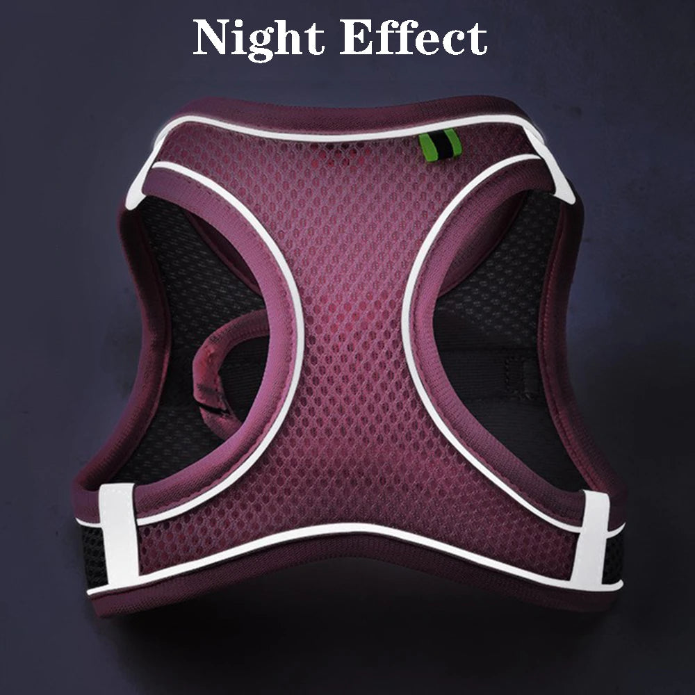 Komfortowy, regulowany zestaw uprzęży dla zwierząt