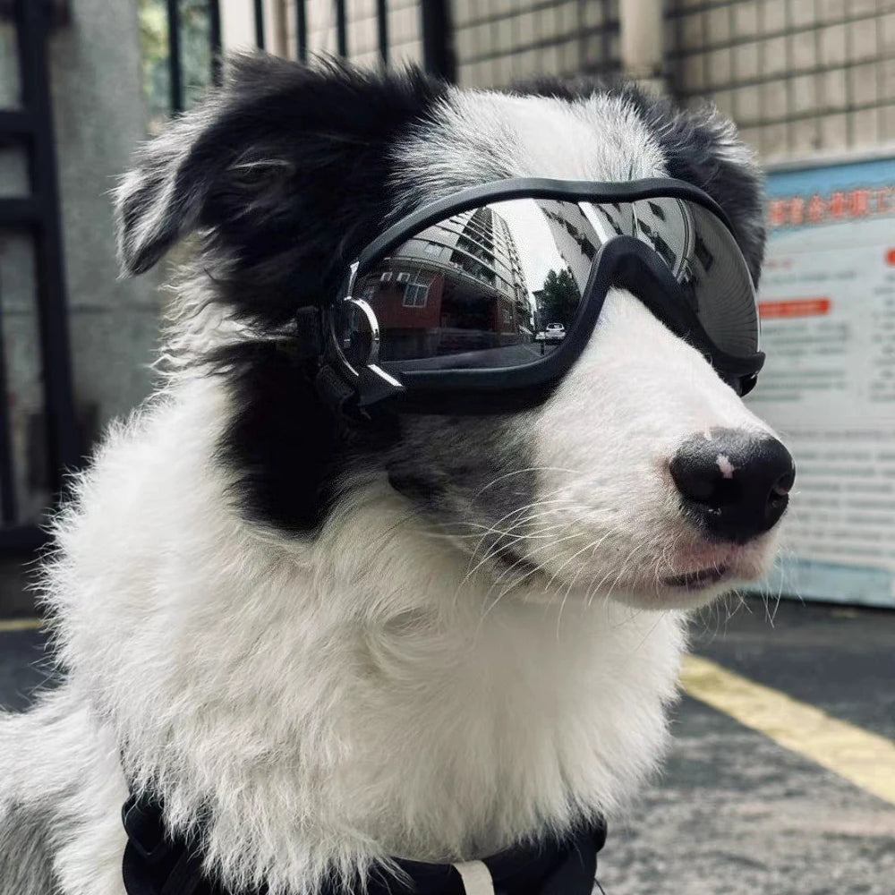 Okulary dla psa z regulacją